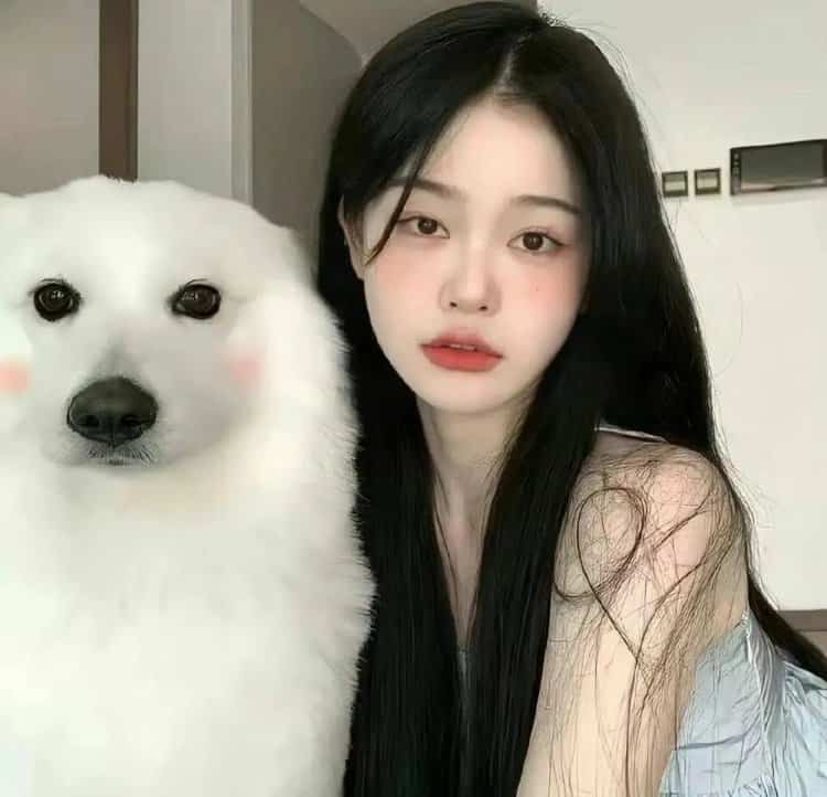长发温柔女生抱狗狗微信头像 高级清冷氛围感真人照片女生头像_17