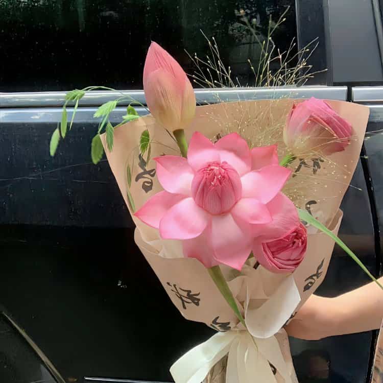 好运连连清冷感粉白色莲花微信头像 温柔30岁40岁女人温婉大气头像_21