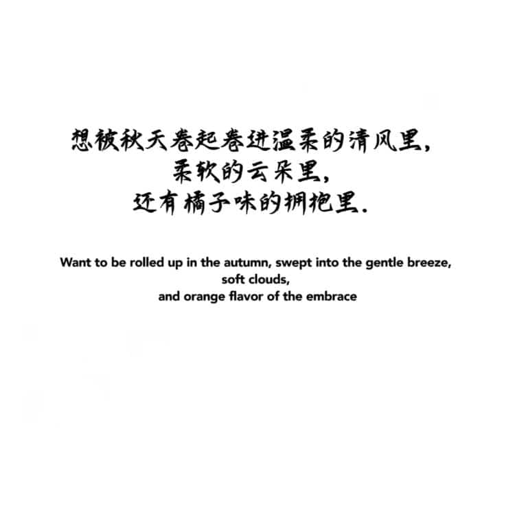 适合秋天的白底黑字纯文字文案微信头像 高雅有知识有文化头像图_2