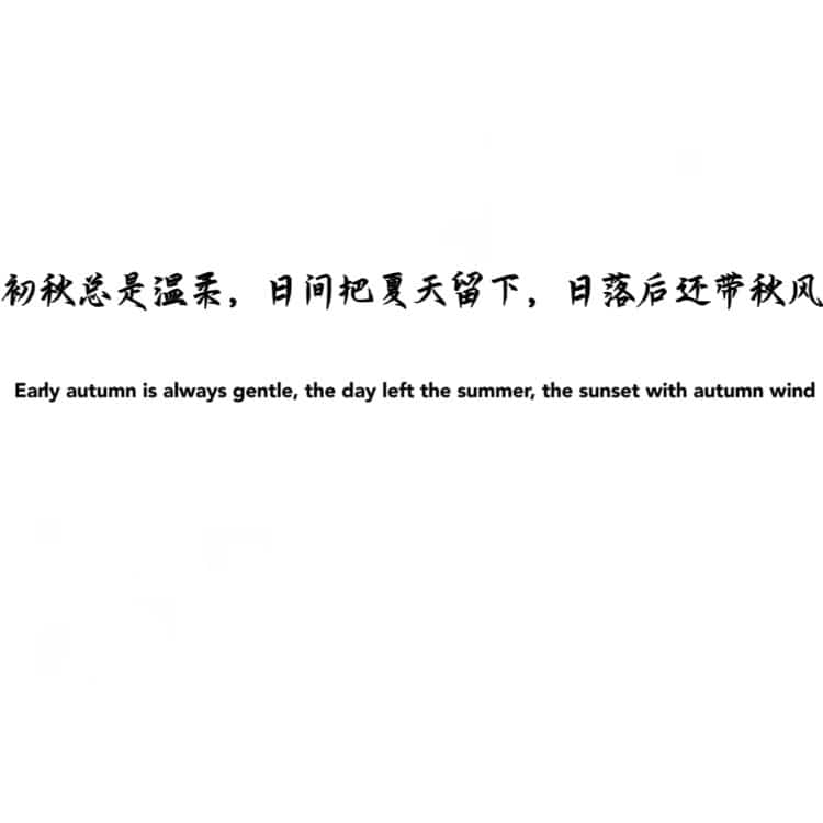 适合秋天的白底黑字纯文字文案微信头像 高雅有知识有文化头像图_3
