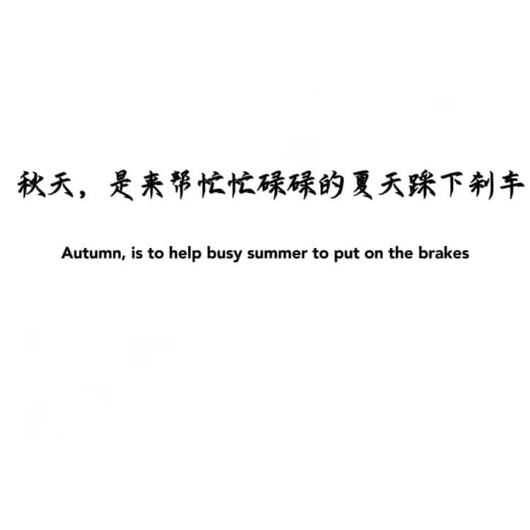 适合秋天的白底黑字纯文字文案微信头像 高雅有知识有文化头像图_4