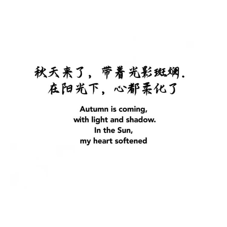 适合秋天的白底黑字纯文字文案微信头像 高雅有知识有文化头像图_6