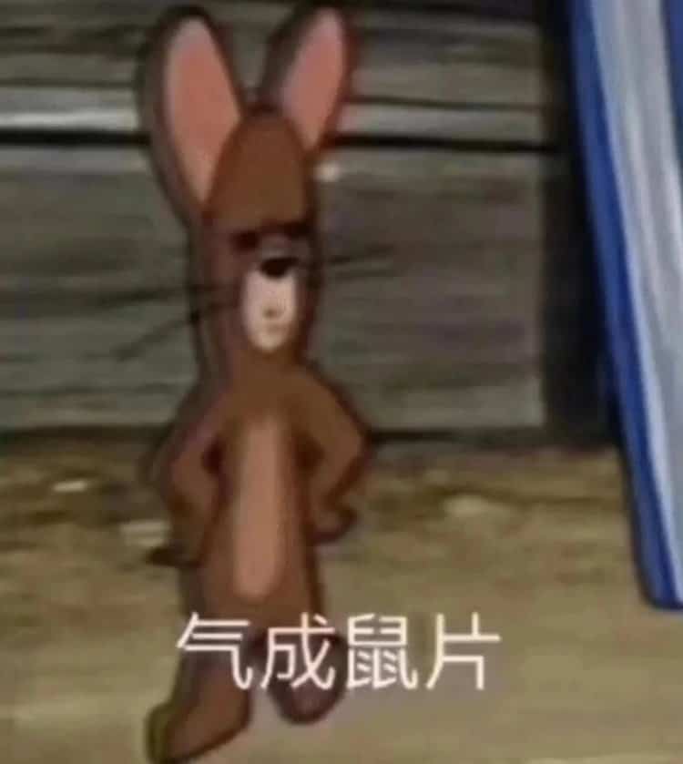 二人闺蜜头像沙雕智障可爱 搞怪笑死人的闺蜜头像_4