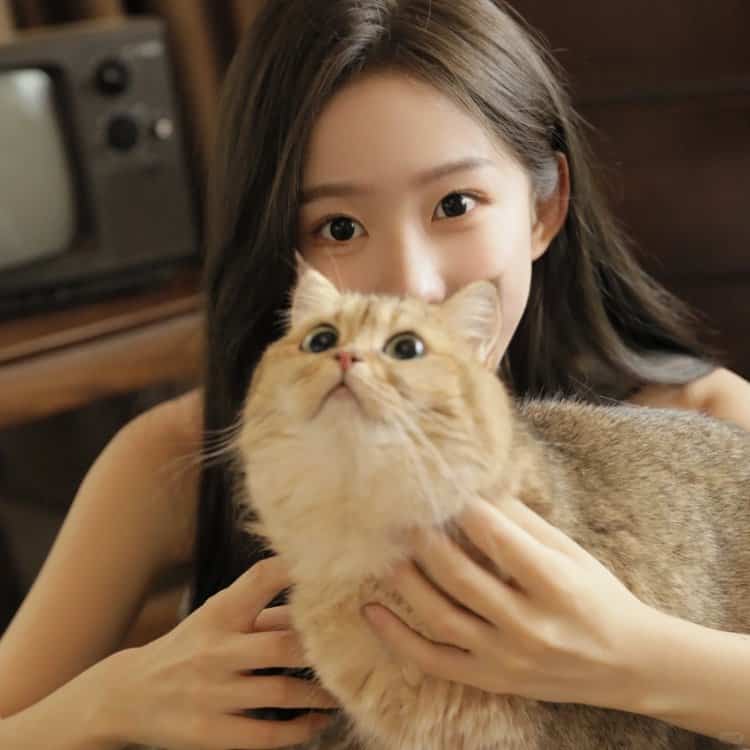 日系长发女孩和猫合照女生头像_2