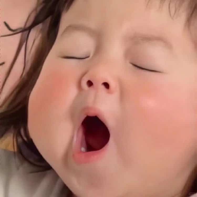 一看就不能委以重任的不靠谱微信头像 睡不醒沉迷睡觉的搞怪头像_7