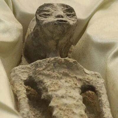 外星人真存在吗？墨西哥外星人真实照片曝光