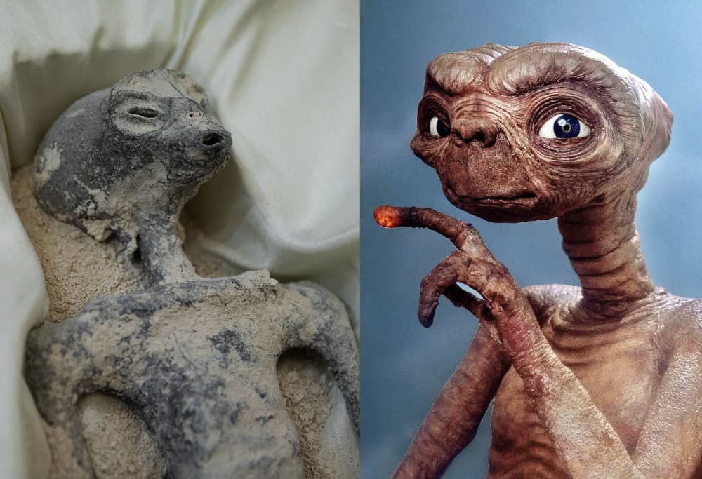外星人真存在吗？墨西哥外星人真实照片曝光_2
