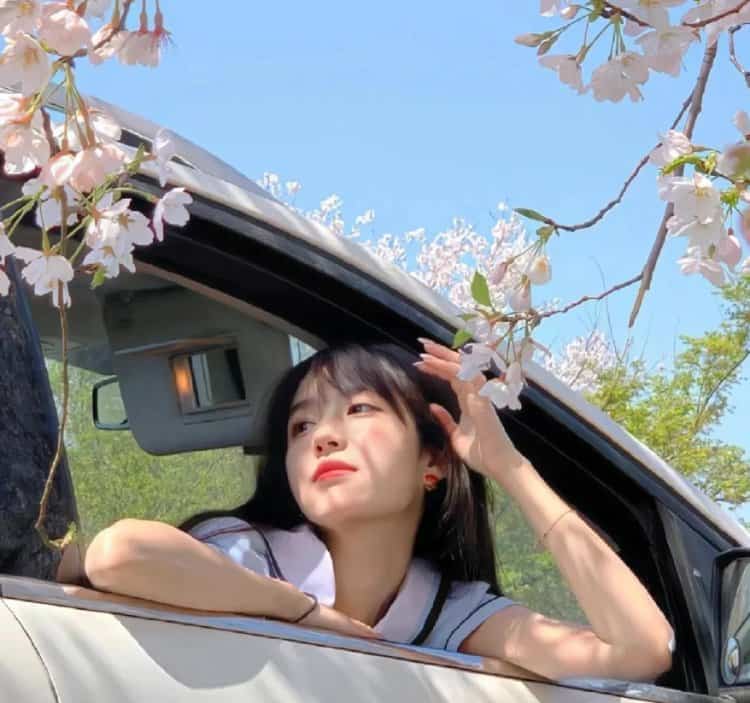 热爱生活阳光乐观的女生头像 森系高级唯美鲜花女头_12