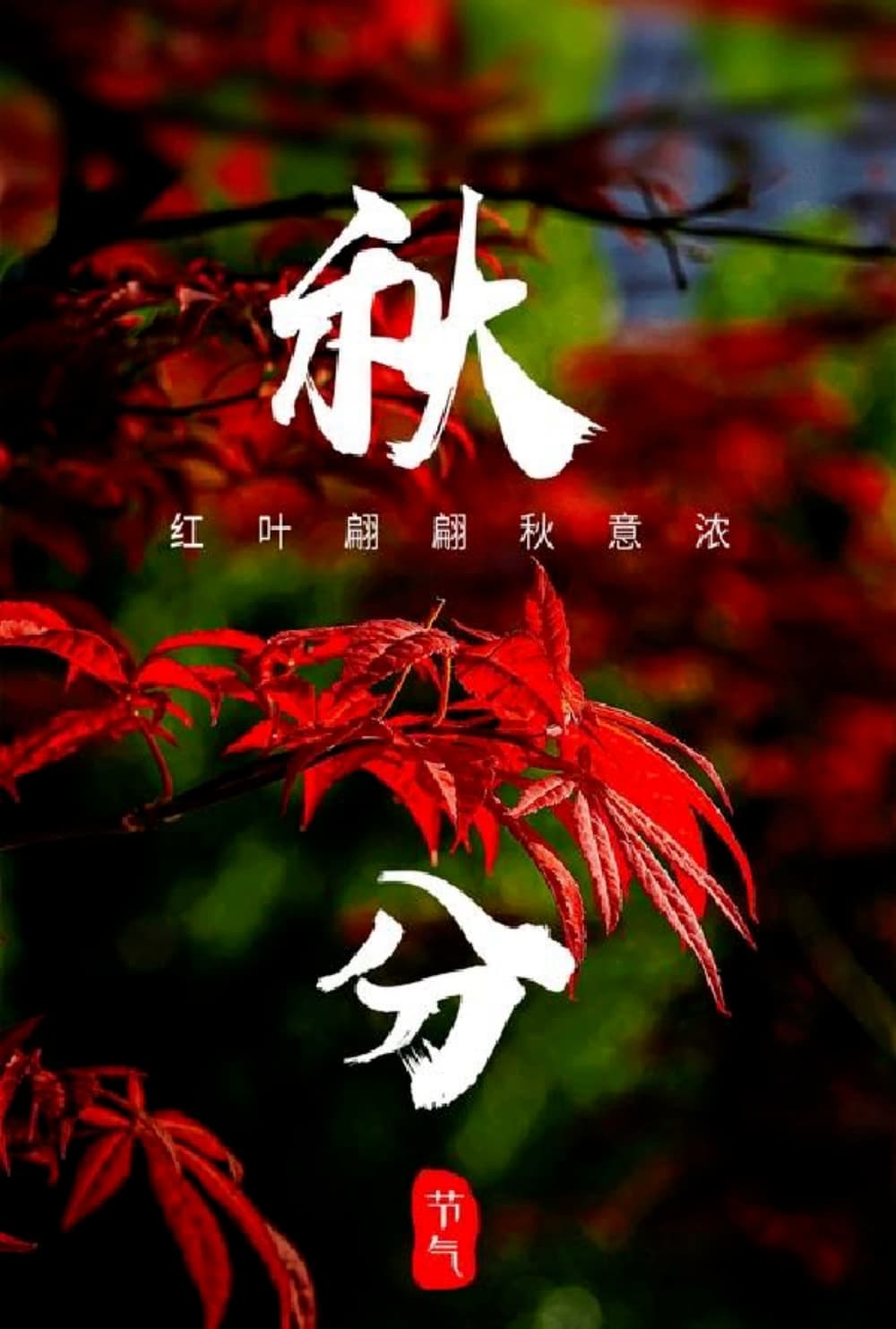 适合秋分发的朋友圈配图图片_2
