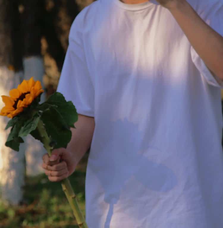 黑发白T男生手拿向日葵真人微信头像 好看清爽氛围感男生头像_1