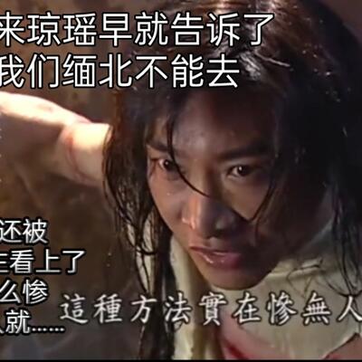 尔康去缅甸经历了什么?尔康去缅甸都回不来？