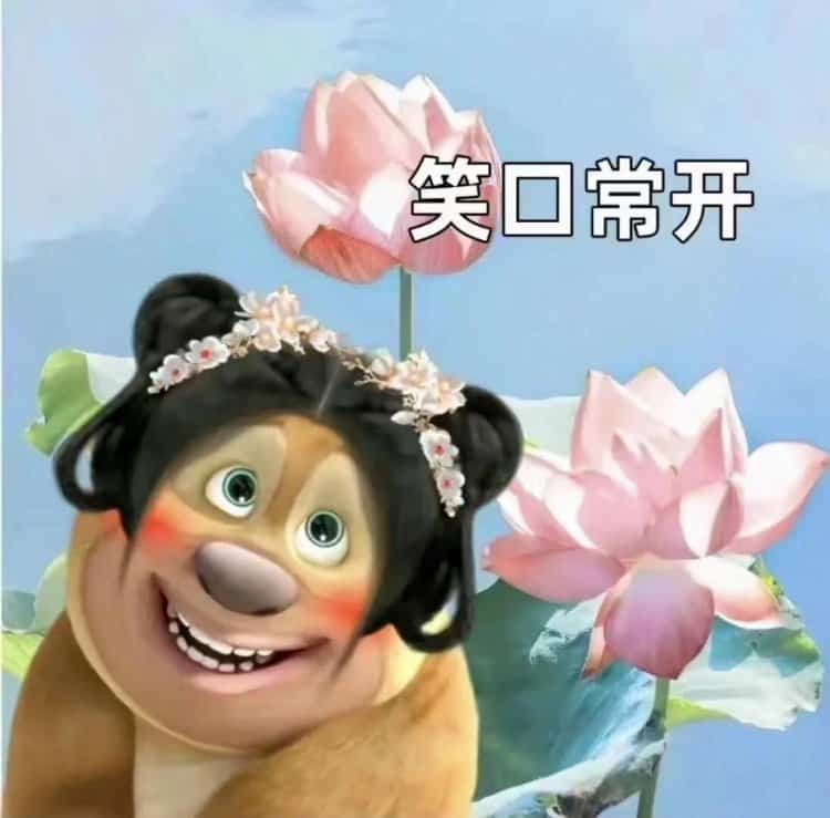 搞笑女专用可爱沙雕熊二搞怪微信头像 好玩儿的搞笑头像_22