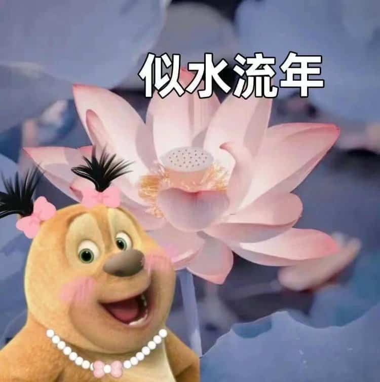 搞笑女专用可爱沙雕熊二搞怪微信头像 好玩儿的搞笑头像_24