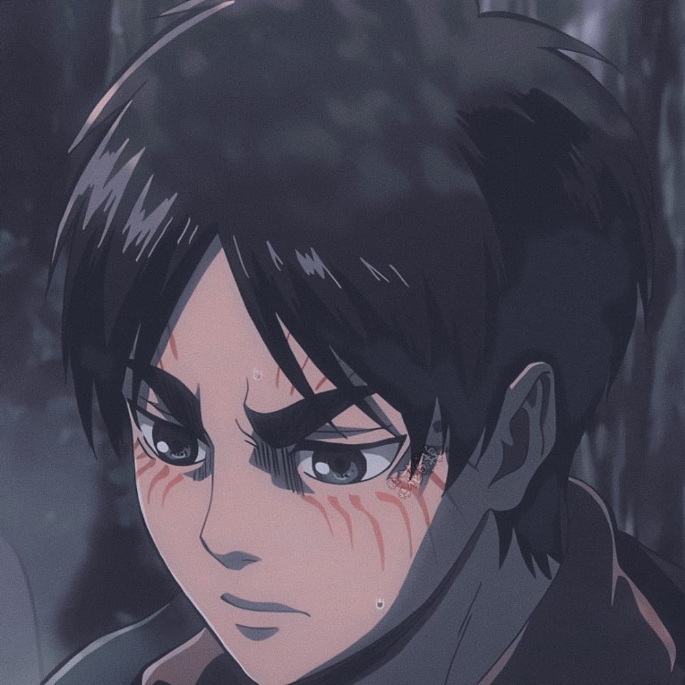 《进击的巨人》艾伦耶格尔头像，大眼睛帅哥动漫男头_2