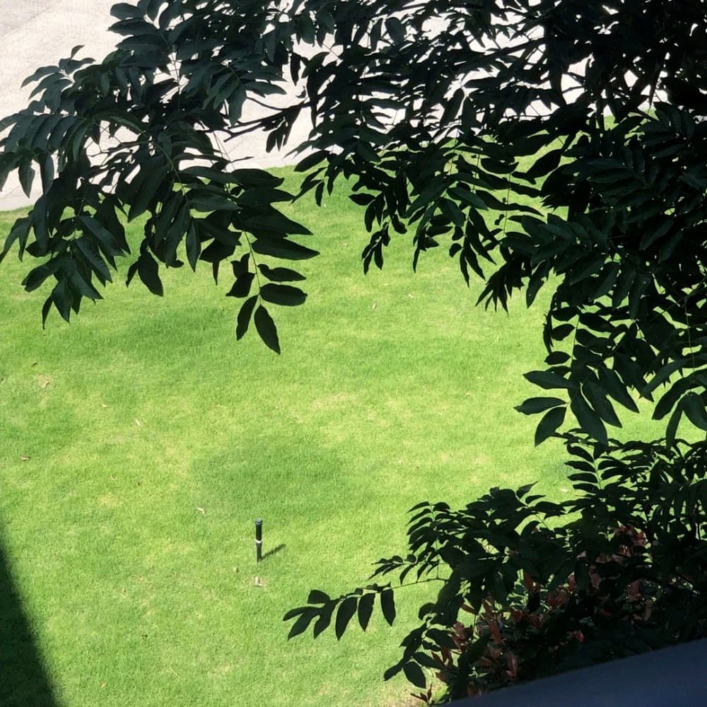 绿色好看的唯美小清新微信头像图片_9