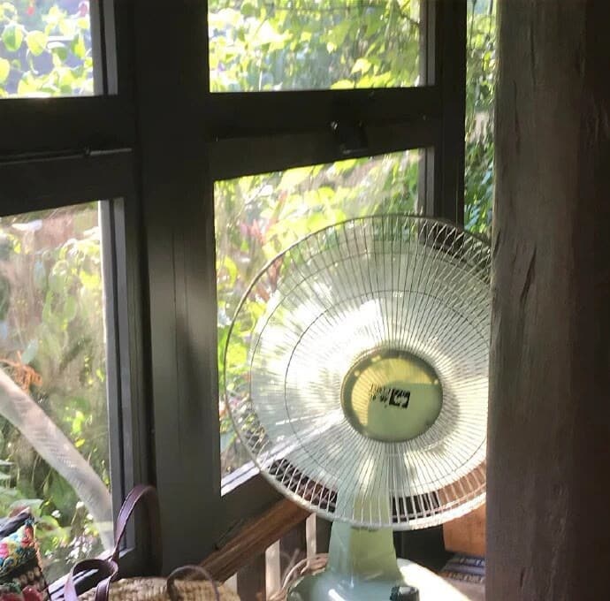 好看的绿色风景微信头像，有钱人用的微信头像_1