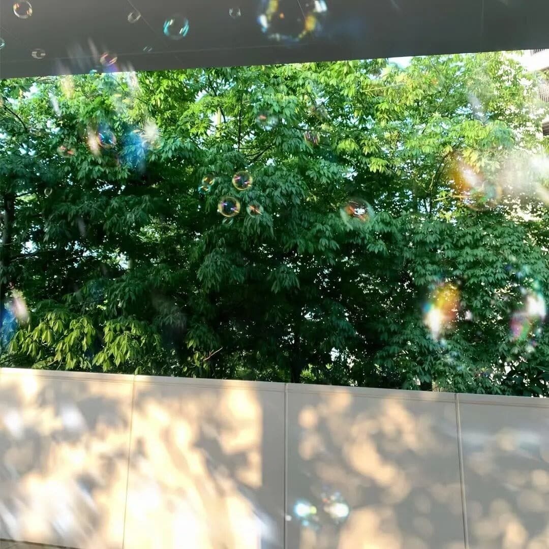好看的绿色风景微信头像，有钱人用的微信头像_6