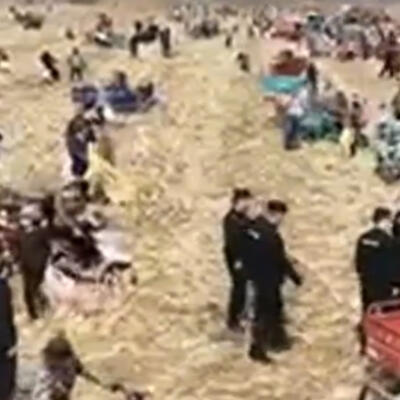 河南一玉米种植地被500多人哄抢 种地有风险投资需谨慎！