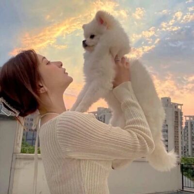 美女和狗狗可爱合照微信头像 宠物系列女头