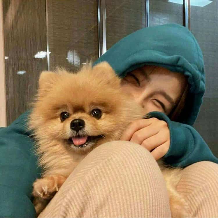美女和狗狗可爱合照微信头像 宠物系列女头_13