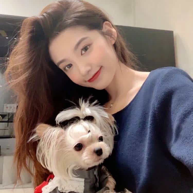 美女和狗狗可爱合照微信头像 宠物系列女头_14