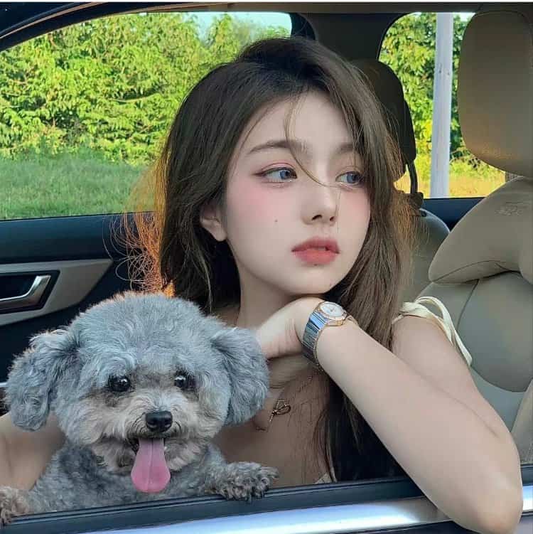 美女和狗狗可爱合照微信头像 宠物系列女头_20