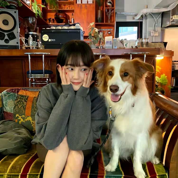 美女和狗狗可爱合照微信头像 宠物系列女头_2