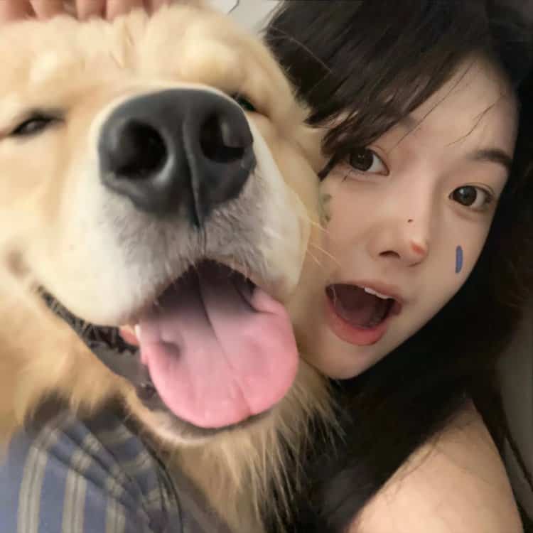 美女和狗狗可爱合照微信头像 宠物系列女头_5