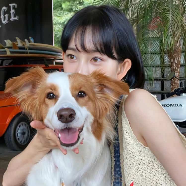 美女和狗狗可爱合照微信头像 宠物系列女头_8