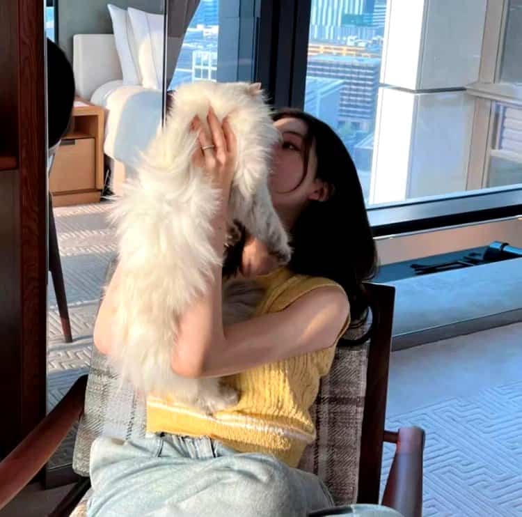 美女和狗狗可爱合照微信头像 宠物系列女头_10