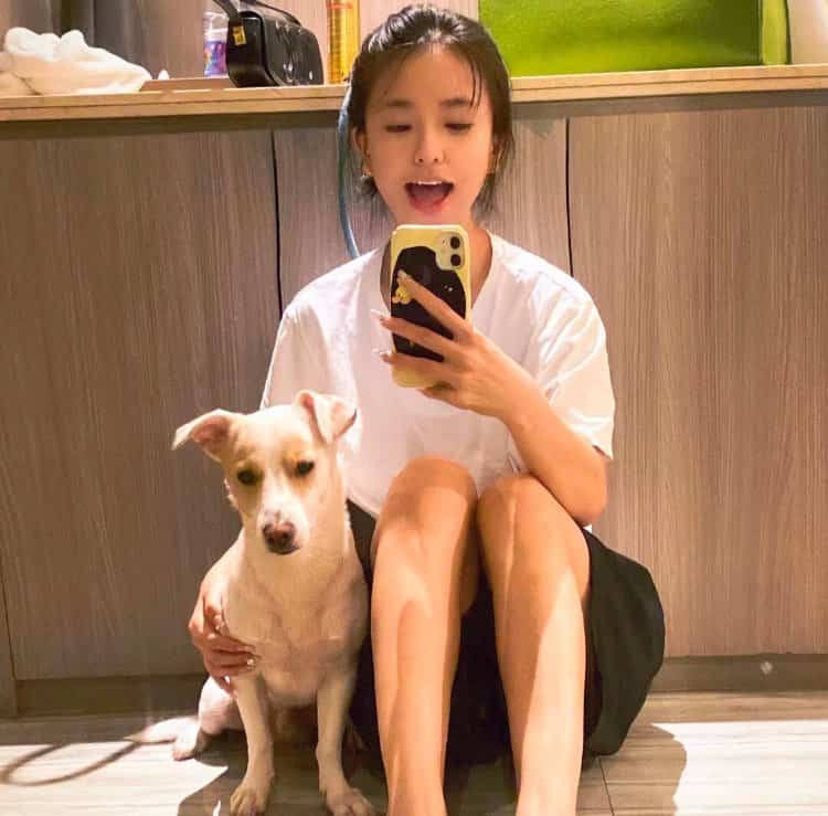 美女和狗狗可爱合照微信头像 宠物系列女头_11