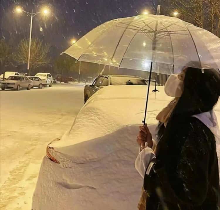 雪地里撑伞的女孩微信头像 适合寒冷冬天的雪景孤独感真人女头_10
