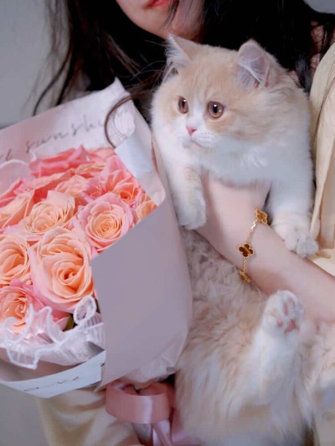 手捧玫瑰鲜花不露脸女生微信头像 氛围感唯美真人女头_13