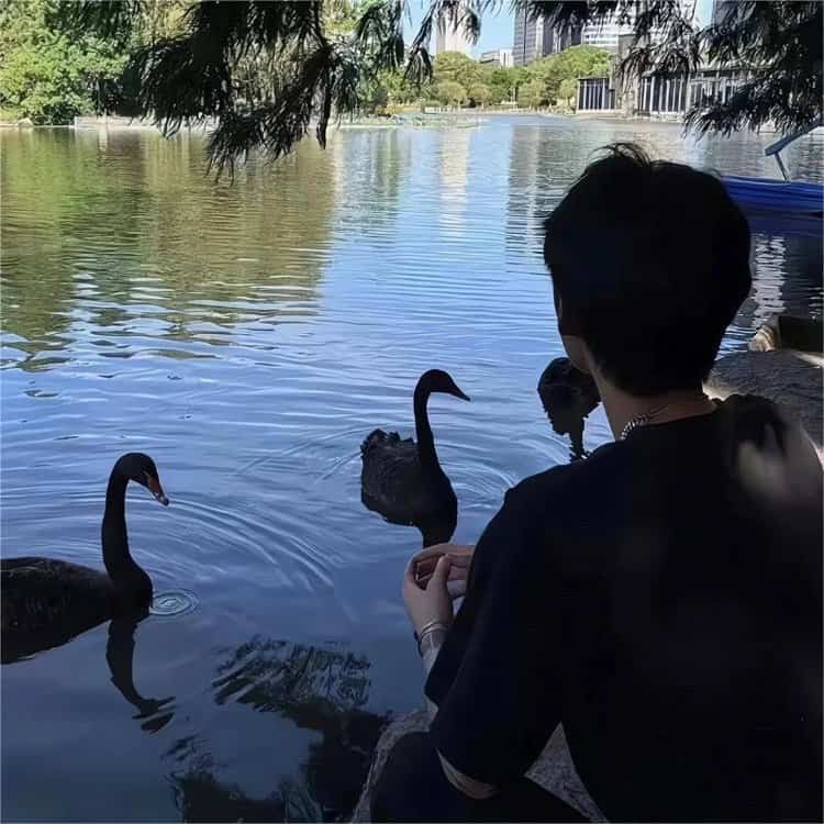 明显不会被怀疑的真人情侣头像 简单高级氛围感单人情头_18