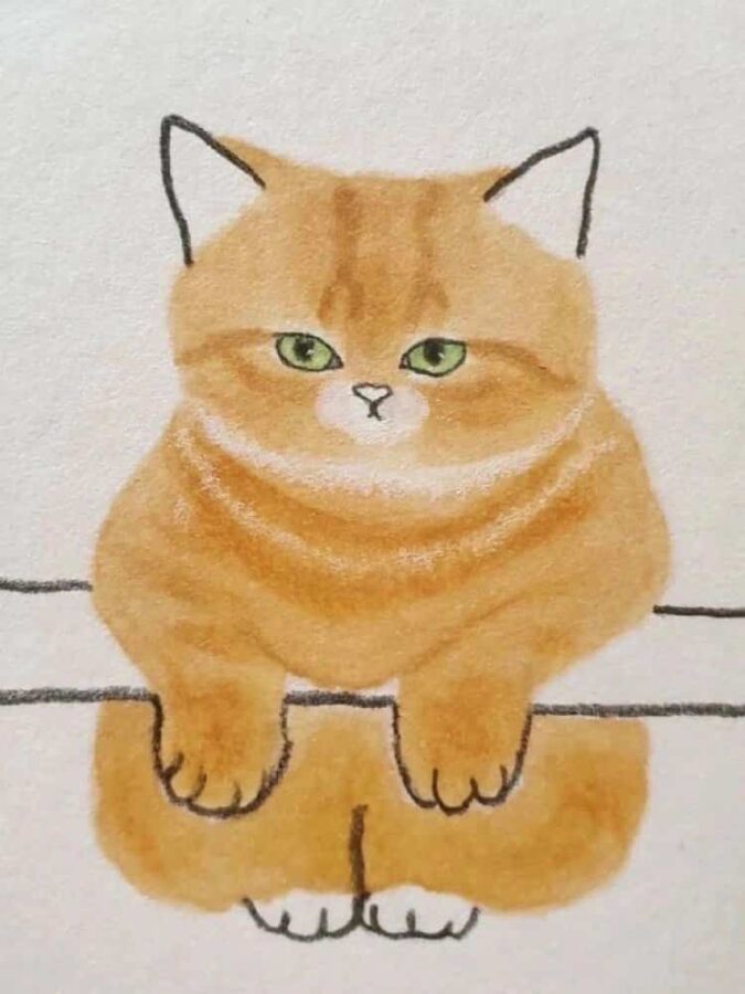 可爱动物手绘彩色猫咪微信头像 治愈系个性猫咪萌宠头像_1