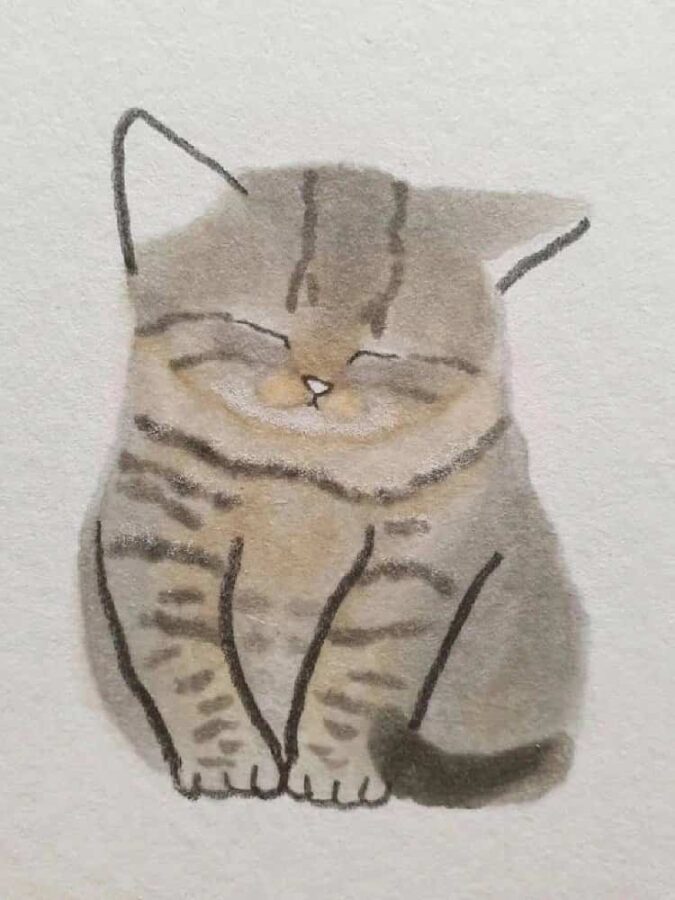 可爱动物手绘彩色猫咪微信头像 治愈系个性猫咪萌宠头像_2