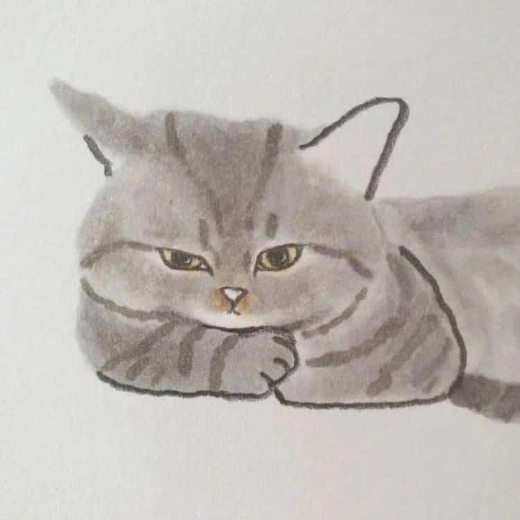 可爱动物手绘彩色猫咪微信头像 治愈系个性猫咪萌宠头像_3