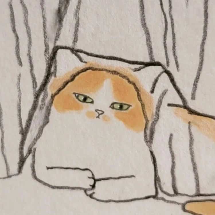 可爱动物手绘彩色猫咪微信头像 治愈系个性猫咪萌宠头像_6