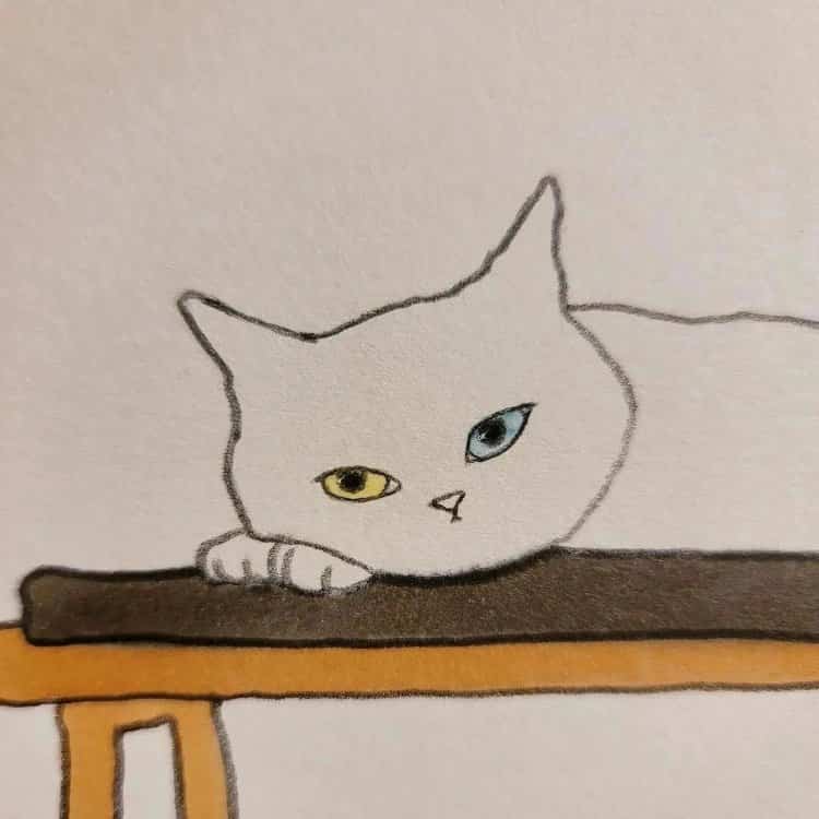 可爱动物手绘彩色猫咪微信头像 治愈系个性猫咪萌宠头像_7