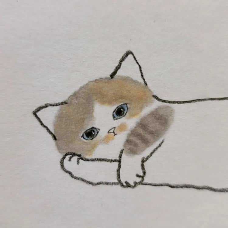 可爱动物手绘彩色猫咪微信头像 治愈系个性猫咪萌宠头像_8