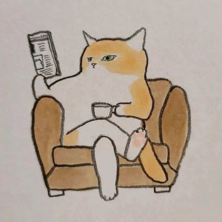 可爱动物手绘彩色猫咪微信头像 治愈系个性猫咪萌宠头像_9