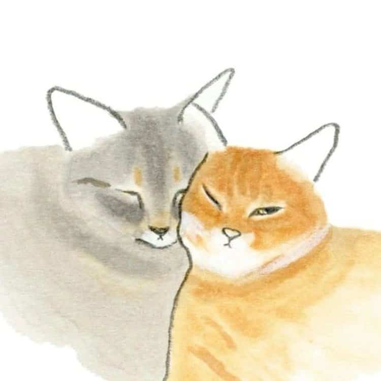 可爱动物手绘彩色猫咪微信头像 治愈系个性猫咪萌宠头像_11