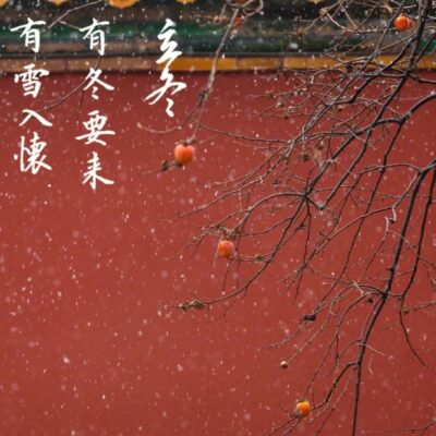 立冬图片配图带文案 发朋友圈必备