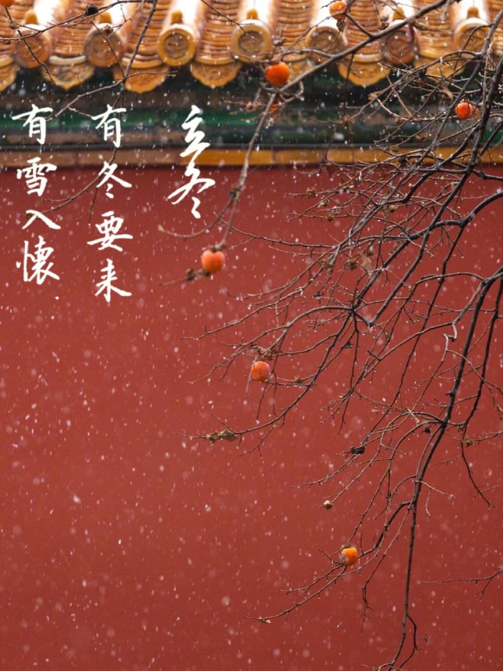 立冬图片配图带文案 发朋友圈必备_4