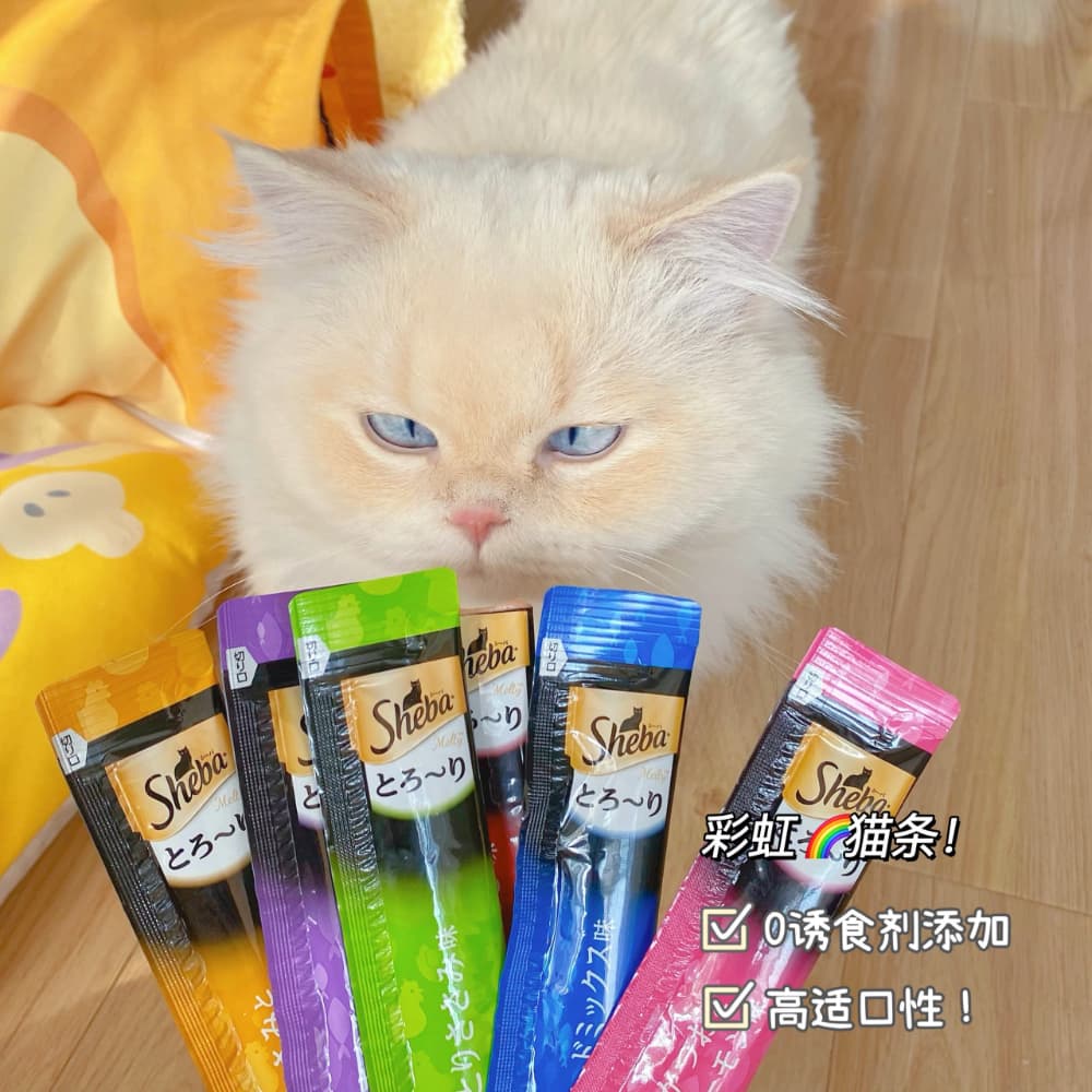 目光炯炯有神的可爱金点猫咪图片_3