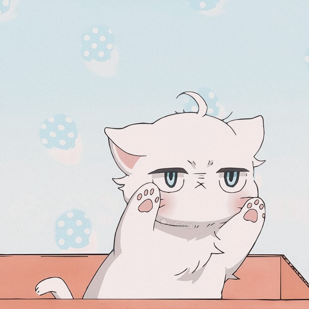 《我的新上司是天然呆》白桃猫咪动漫头像_1