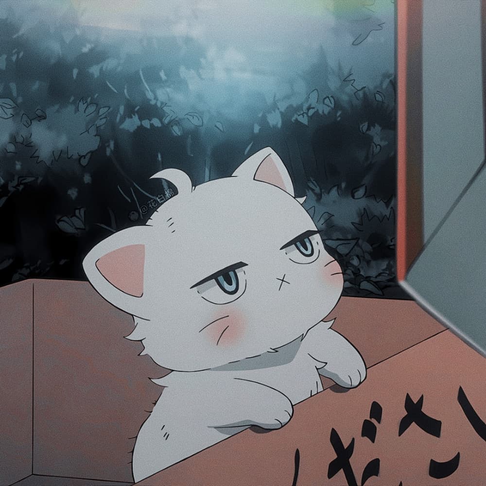 《我的新上司是天然呆》白桃猫咪动漫头像_2
