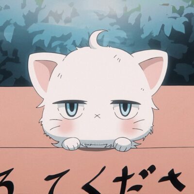 《我的新上司是天然呆》白桃猫咪动漫头像