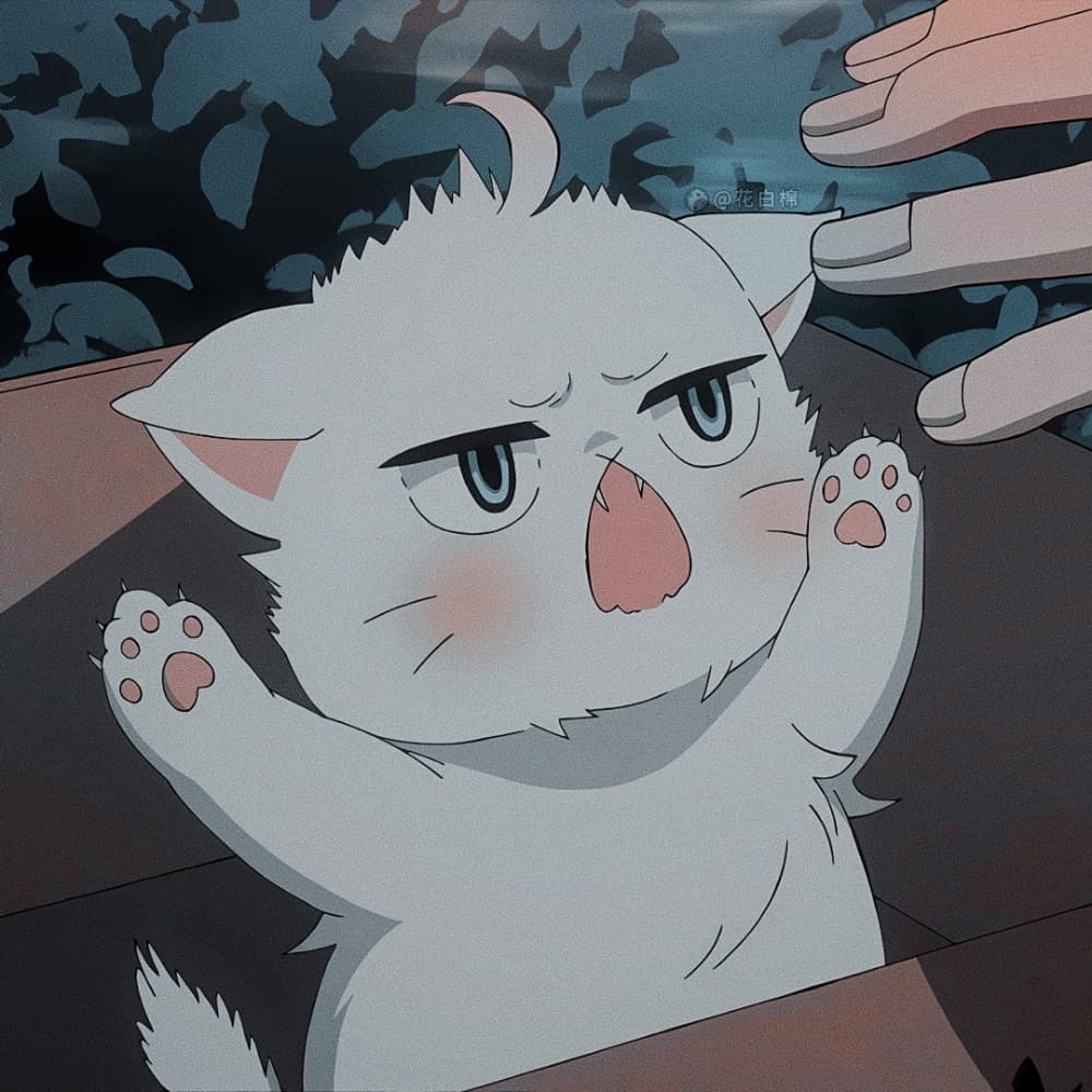 《我的新上司是天然呆》白桃猫咪动漫头像_7