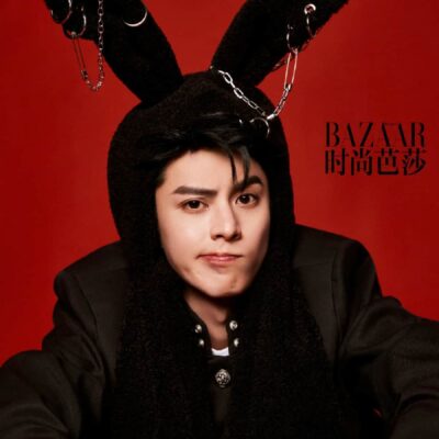 兔系帅哥王鹤棣 MiniBAZAAR 时尚芭莎杂志图片